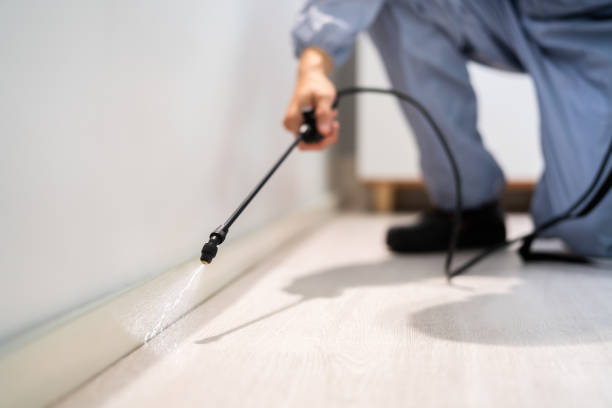 Best Pest Prevention Services  in Mlstadt, IL