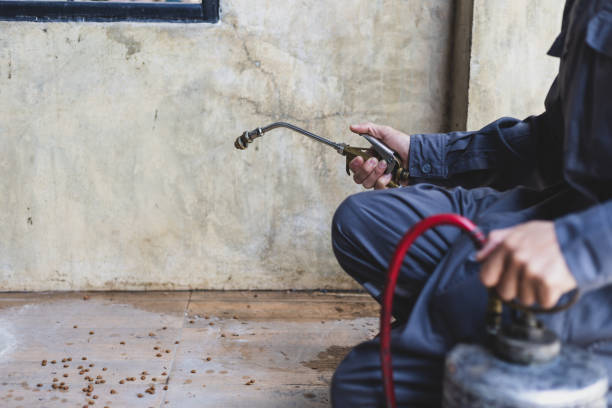 Pest Prevention Services in Millstadt, IL